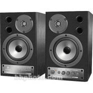 Behringer ms20 1